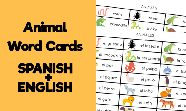 Animal Word Cards