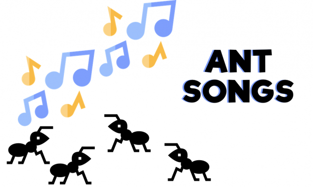 Ant Songs