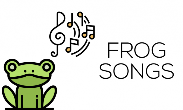 Frog Songs