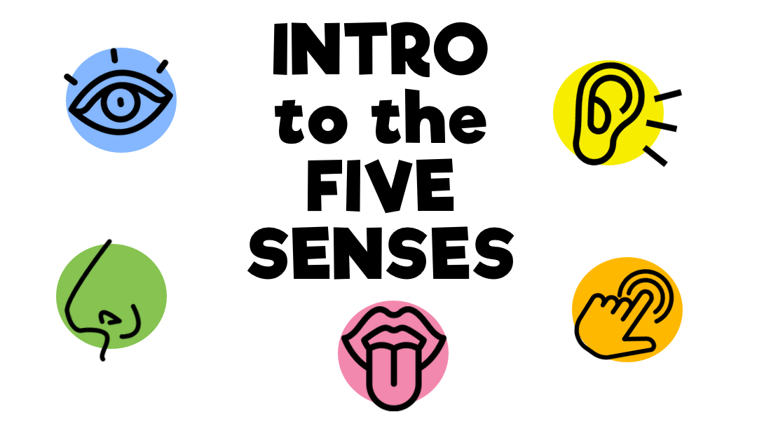 Introduction to the Five Senses