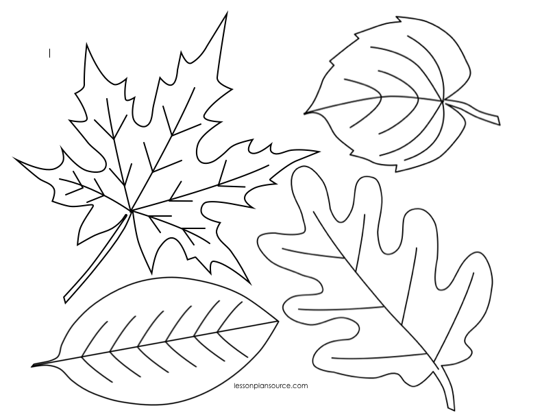 Leaves Coloring Pages 10
